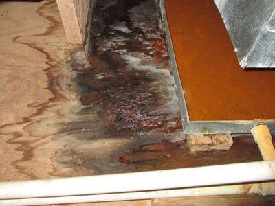 About water damage cleanup - ceiling water damage repair experts in Eastport